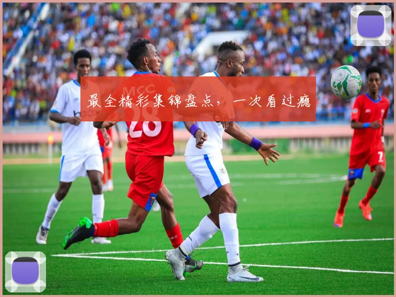 最全精彩集锦盘点，一次看过瘾
